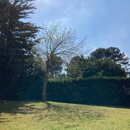 Cosy Proche Rue Pietonne Et Plages Lejlighed *